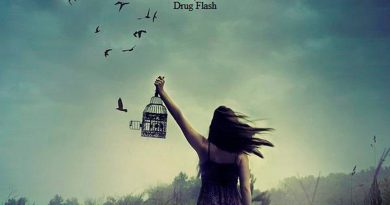 Drug Flash - Крылья