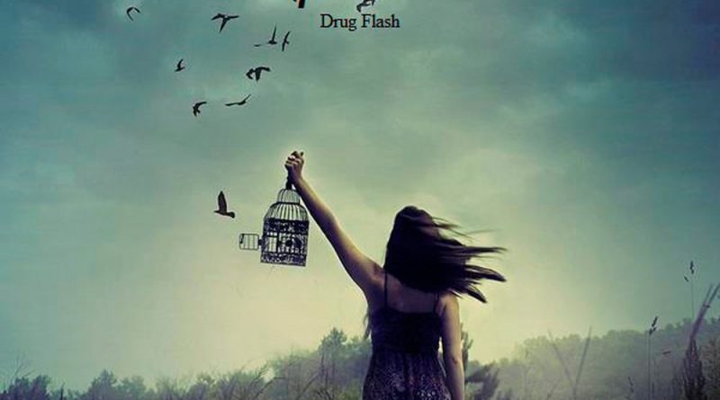 Drug Flash - Крылья