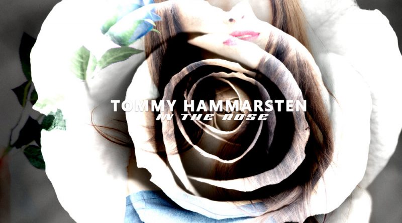 Tommy Hammarsten - In the Rose