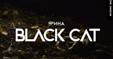Фина - Black Cat
