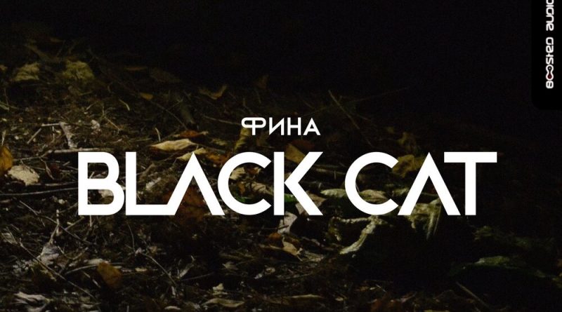 Фина - Black Cat