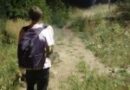 dabbackwood — заново