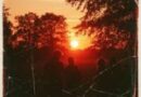 BEREZHNO — Это лето будет нашим BEREZHNO — Это лето будет нашим