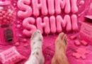 Кисло-Сладкий — SHIMI SHIMI Кисло-Сладкий — SHIMI SHIMI